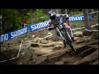 Race Bikes Race Bikes
