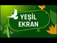 Yeşil Ekran Yeşil Ekran